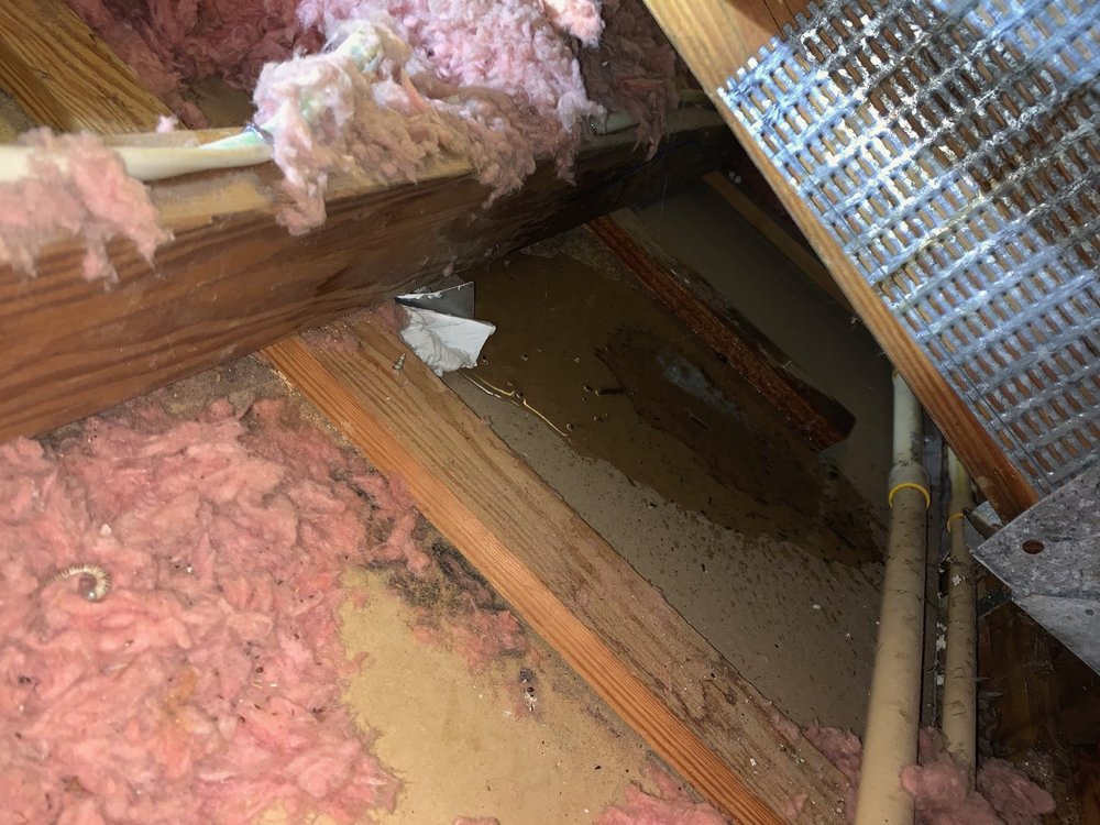 Photo of Pro-Form Roofing