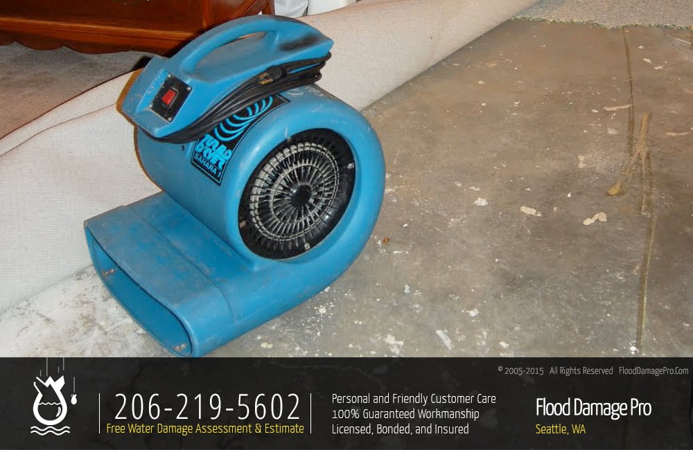 Photo of Flood Damage Pro
