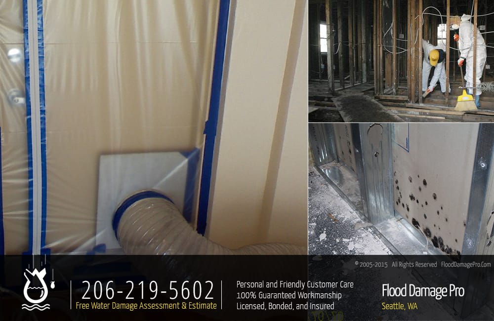 Photo of Flood Damage Pro
