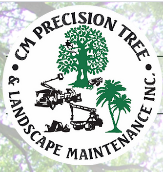 Photo of CM Precision Tree and Landscape Maintenance