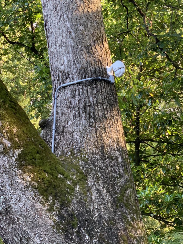 Photo of Security Camera Installation