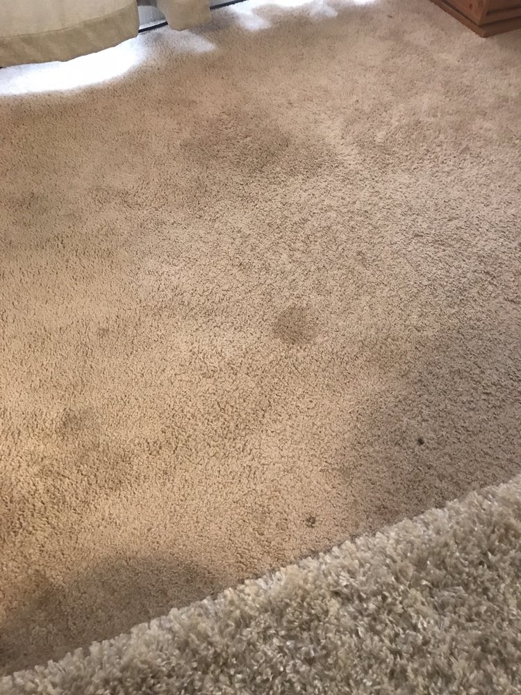 Photo of Oxi Fresh Carpet Cleaning