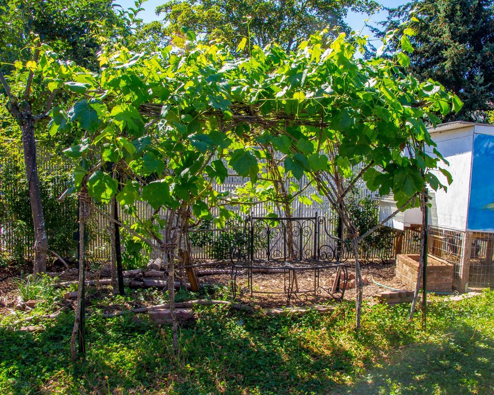 Photo of SymbiOp Landscaping