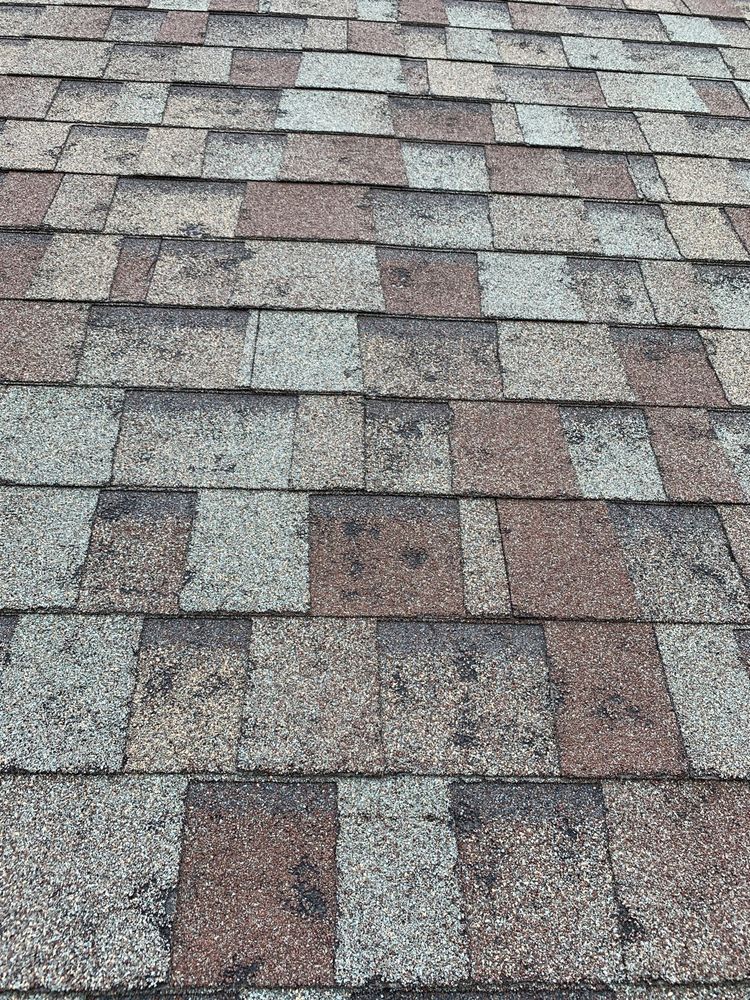 Photo of Nimbus Roofing