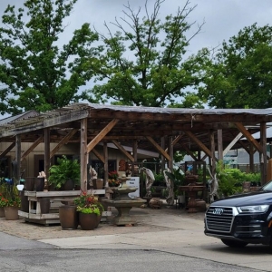 Photo of Rosie's Gardens