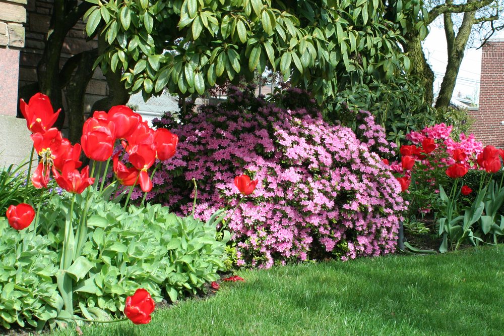 Photo of Zook & Oleson Gardening