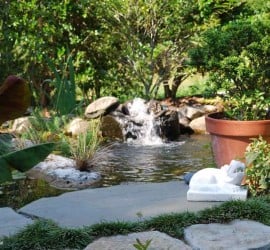 Photo of Charleston Plantworks LLC