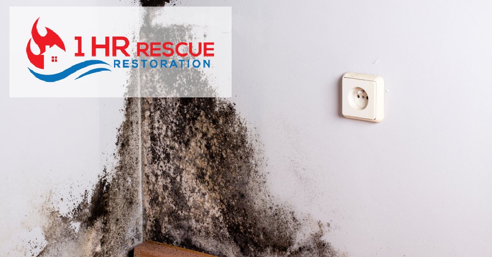 Photo of 1 Hour Rescue Restoration