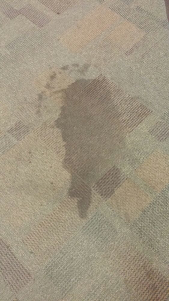 Photo of Oxi Fresh Carpet Cleaning