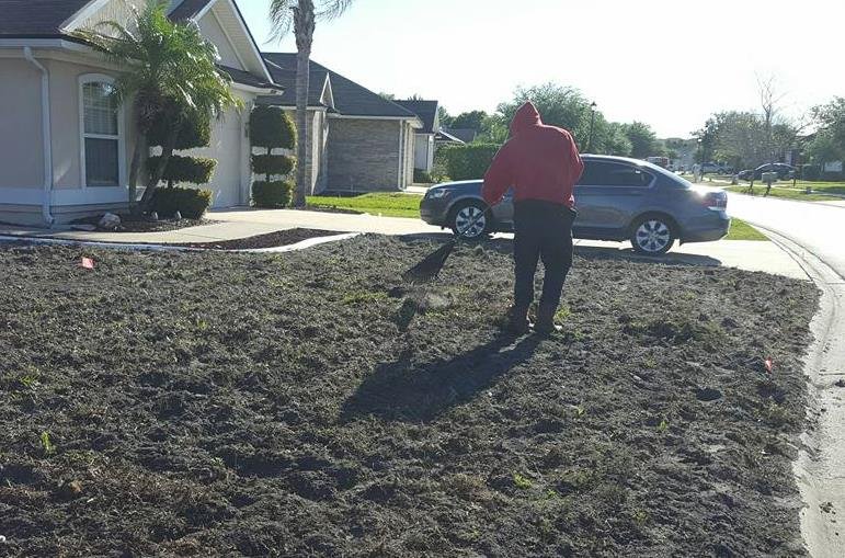 Photo of Lou's Quality Lawn Services