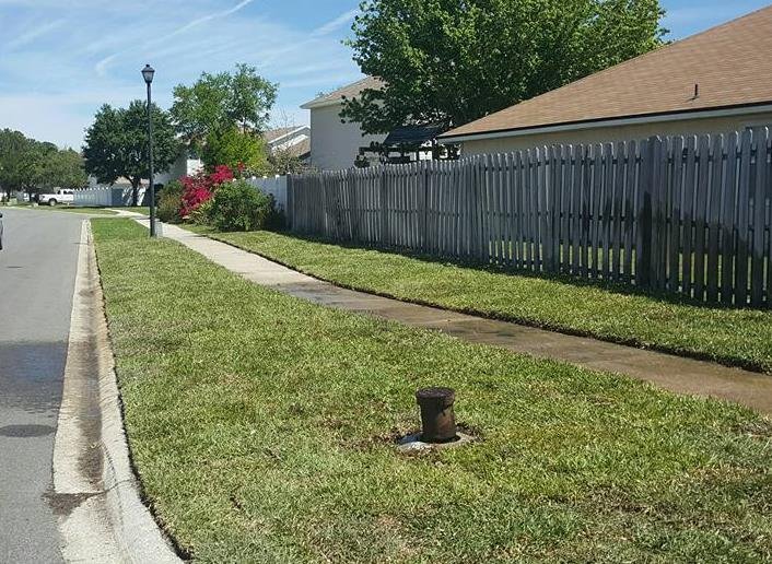 Photo of Lou's Quality Lawn Services