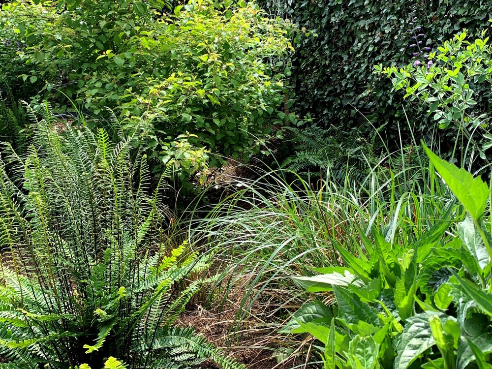 Photo of Thriving Garden Design