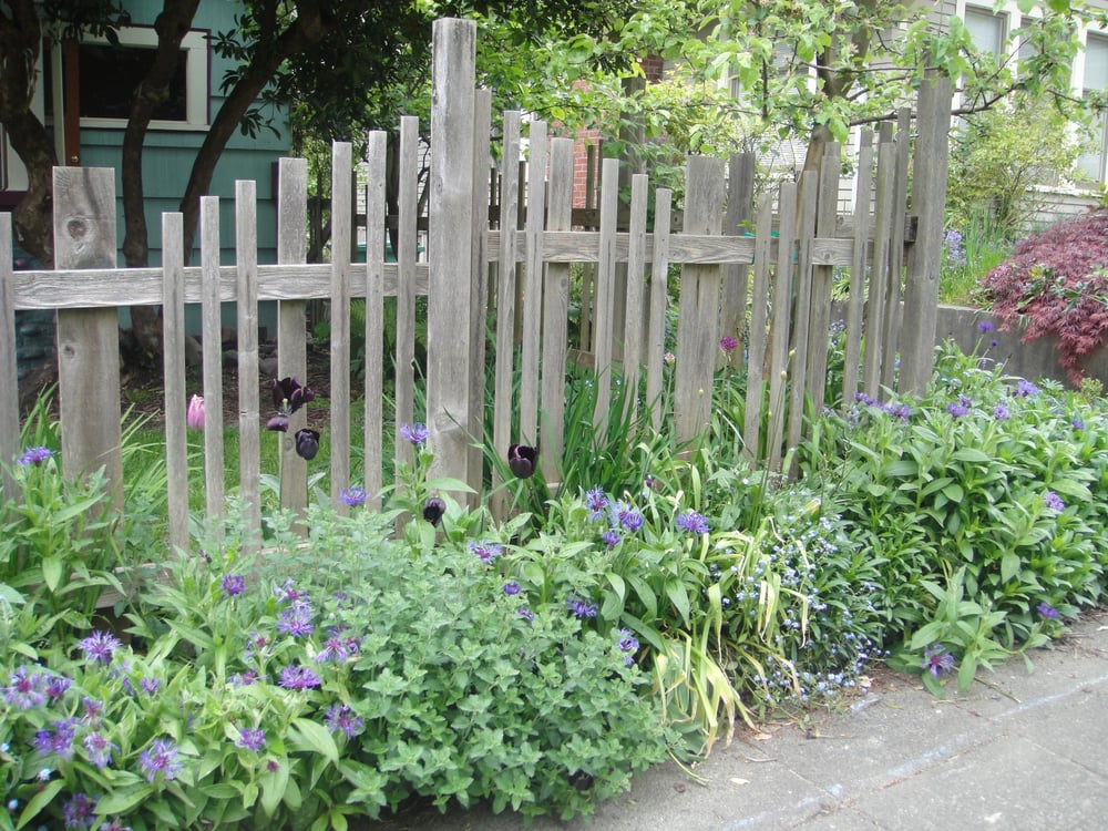 Photo of Thriving Garden Design