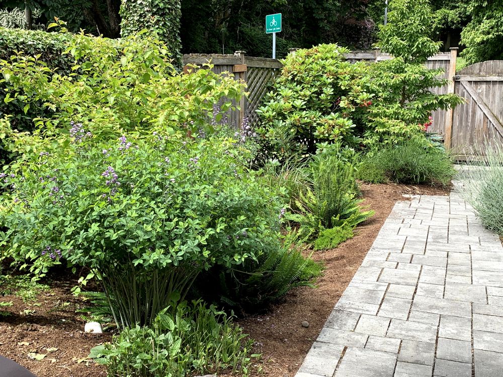Photo of Thriving Garden Design