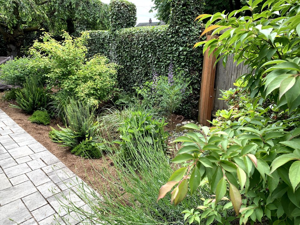 Photo of Thriving Garden Design