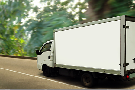 Photo of Big Buck Movers