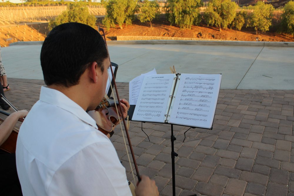 Photo of Violines Kamayd