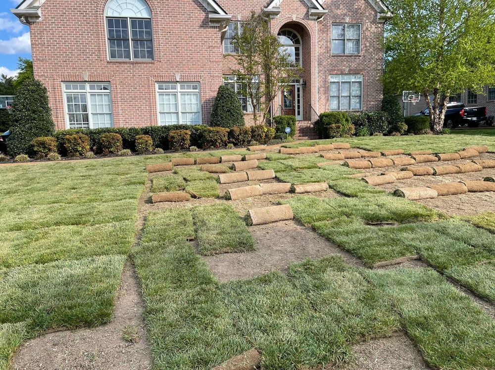Photo of Detailed Lawncare Service