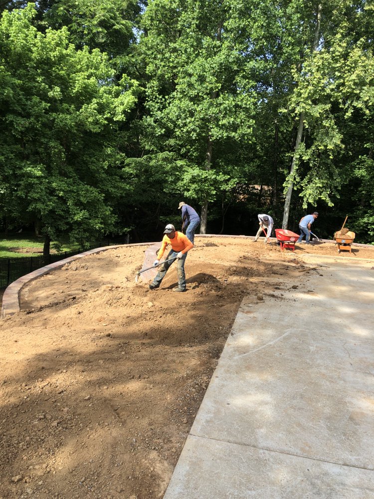 Photo of Detailed Lawncare Service