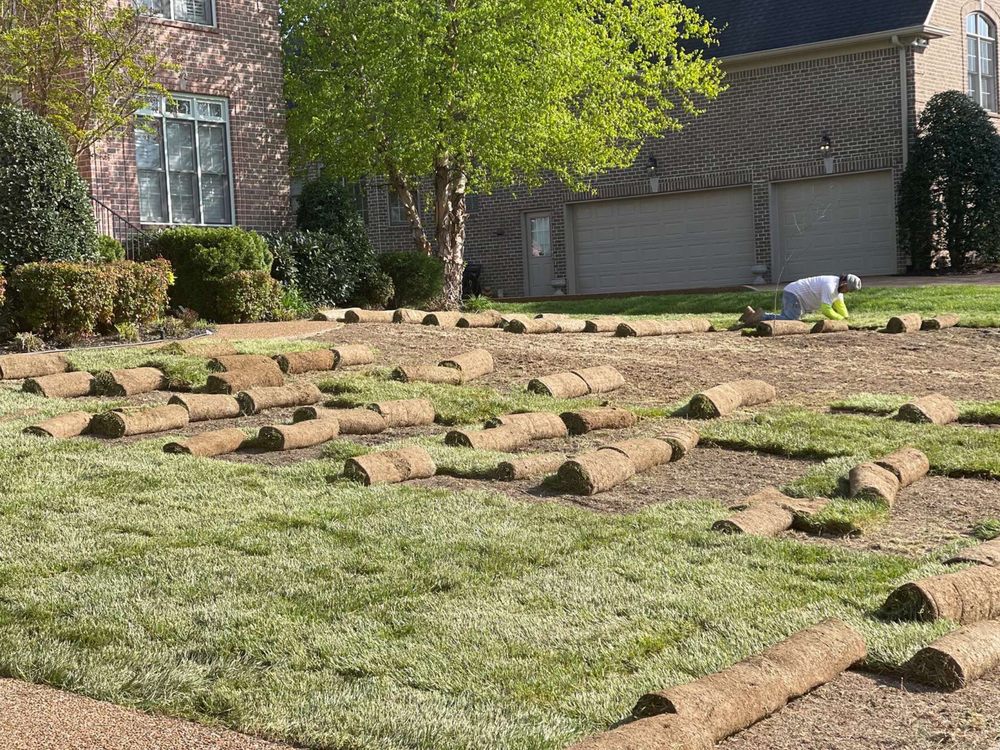 Photo of Detailed Lawncare Service