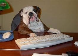 Photo of Bulldog Window Cleaning