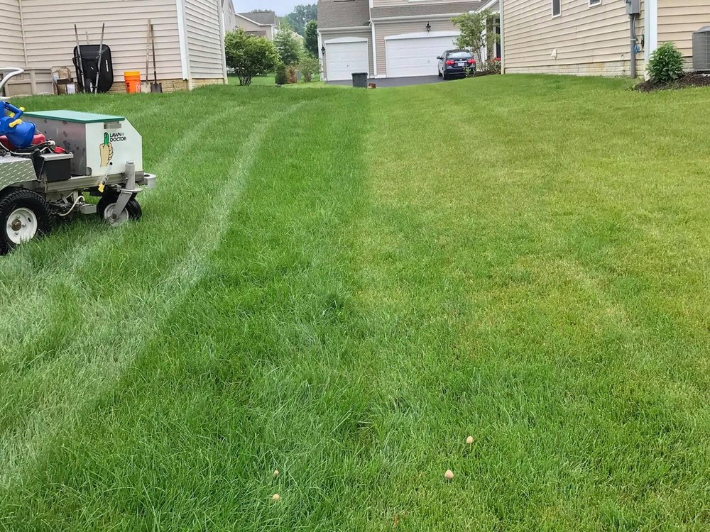 Photo of Lawn Doctor - Columbus
