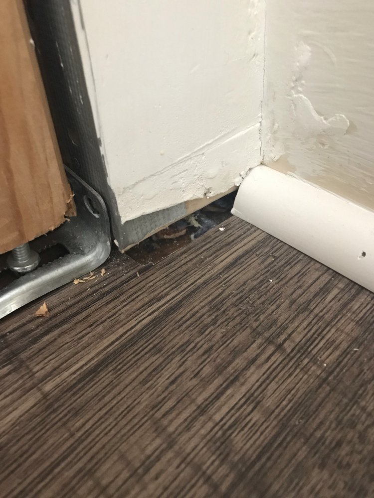 Photo of Magic Carpet & Flooring