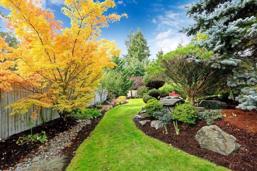Photo of Tennessee Lawn Care Services