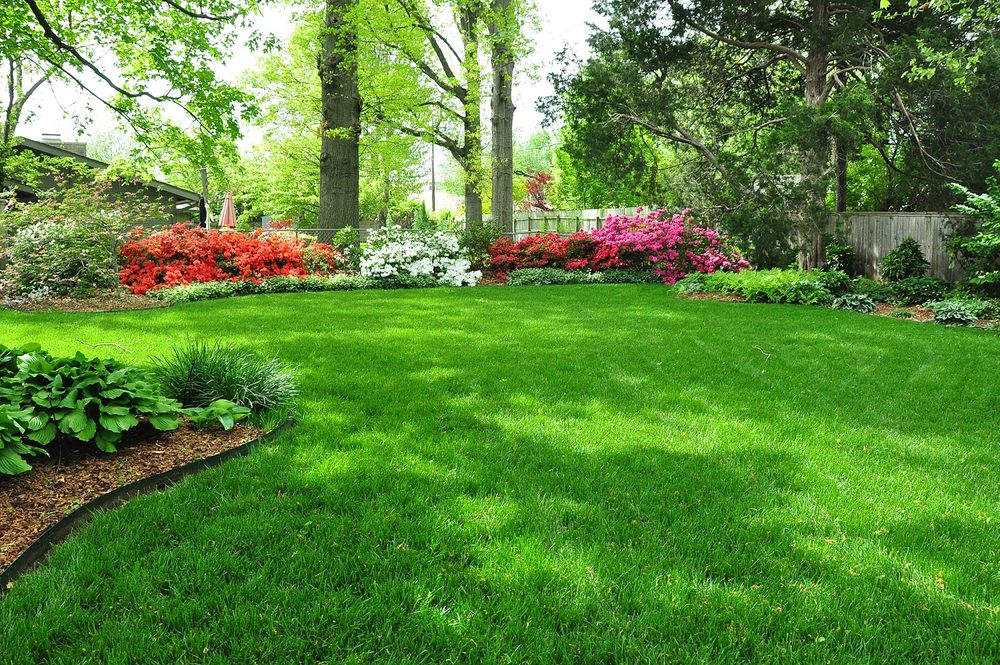 Photo of Tennessee Lawn Care Services