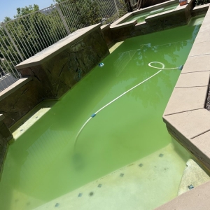 Lake Elsinore Division 1 Pool Service