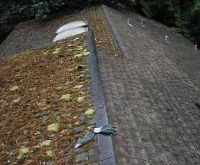 Photo of USA Gutter Window & Roof Cleaning