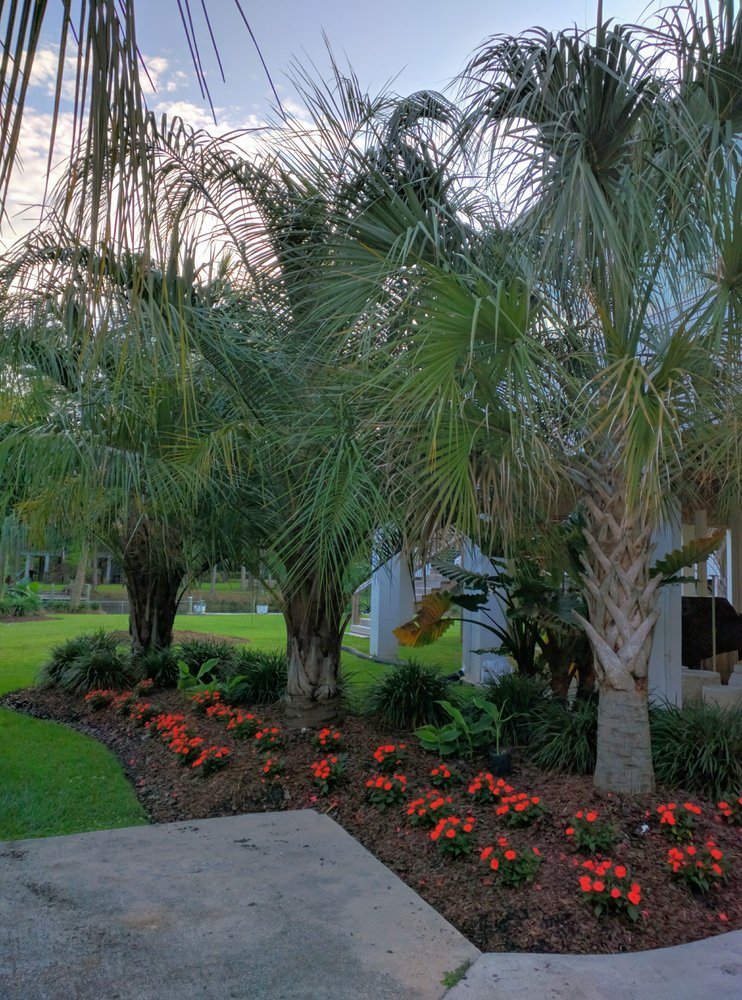 Photo of Tiller of the Land