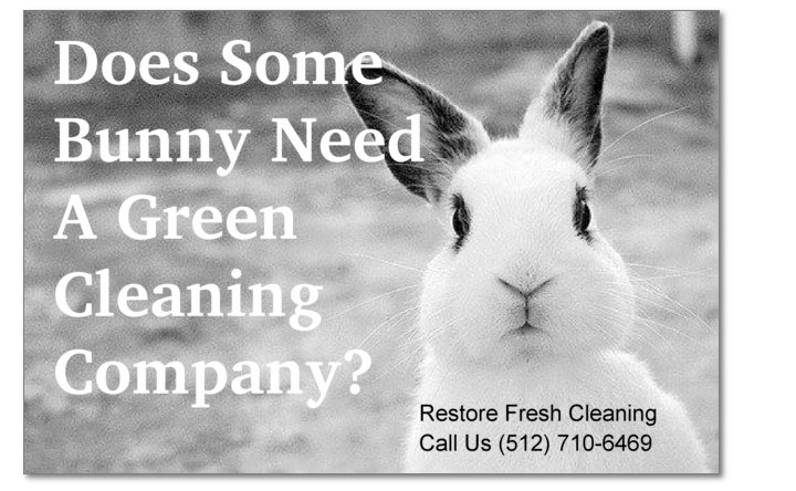 Photo of Restore Fresh - Green Business Cleaning