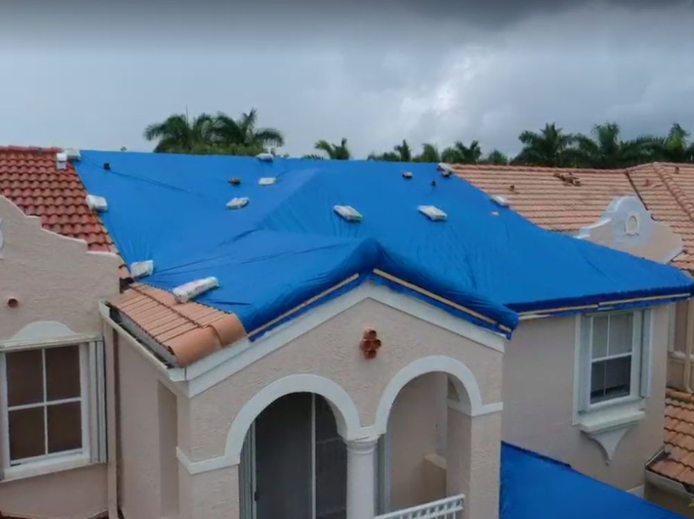 Photo of Mold Environmental Solution