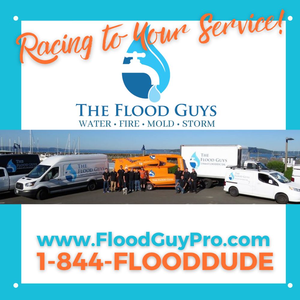 Photo of The Flood Guys