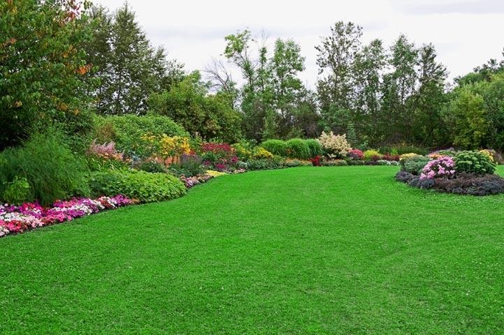 Photo of Greener Grass