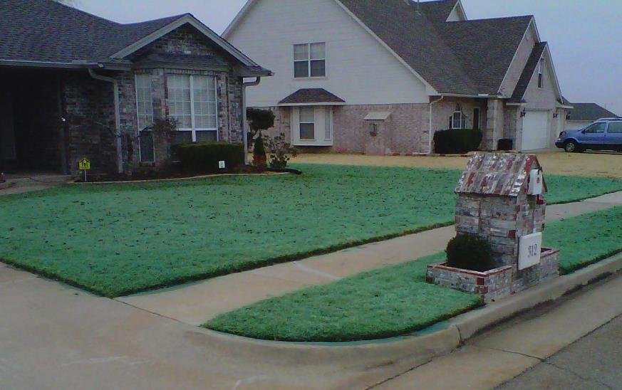 Photo of Greener Grass