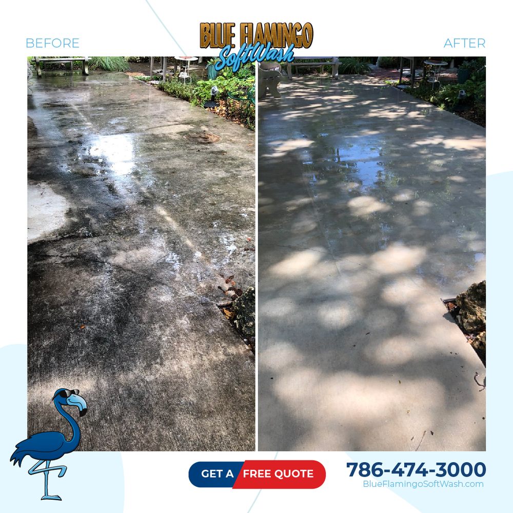 Photo of Blue Flamingo SoftWash