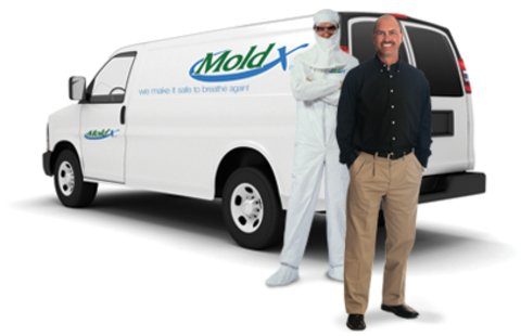 Photo of MoldX