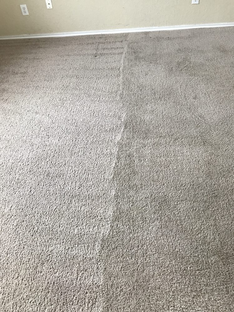 Photo of South Texas Carpet Specialist
