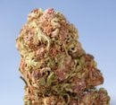 Photo of Northstone Organics