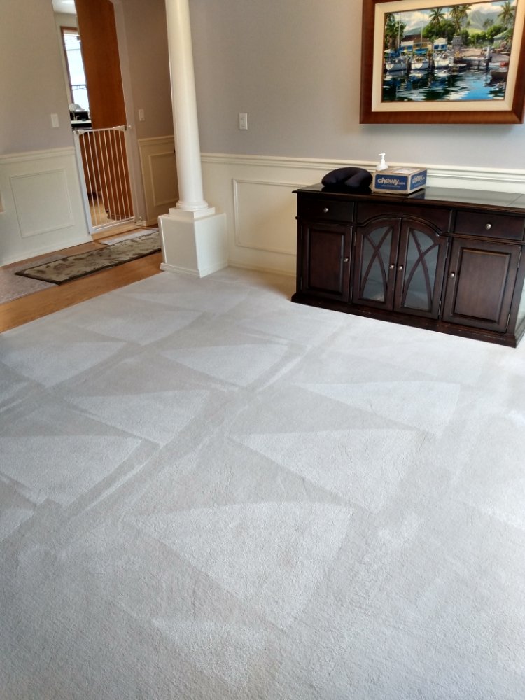 Photo of Northwest Rain Carpet & Upholstery Cleaning