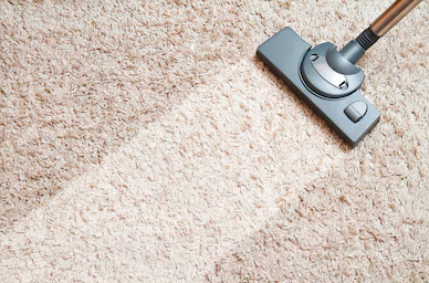 Photo of Northwest Rain Carpet & Upholstery Cleaning