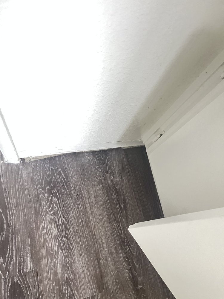 Photo of Ayalas Cleaning Service