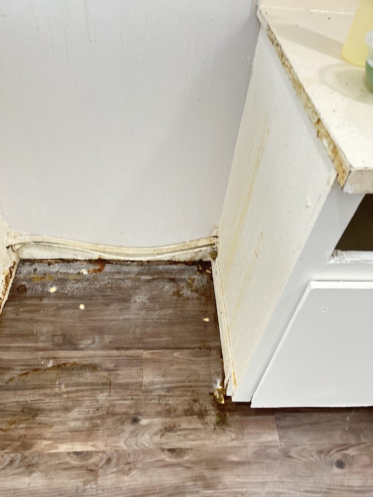 Photo of Ayalas Cleaning Service