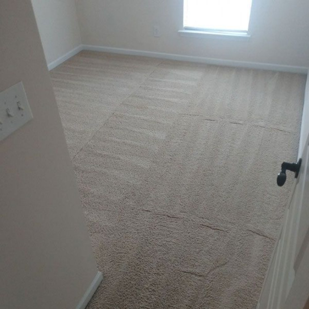 Photo of Casa Cleaners