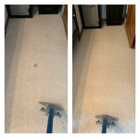 Photo of Collins Carpet Cleaning