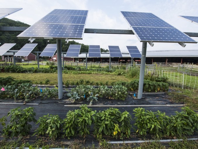 Photo of Elite Solar Energy