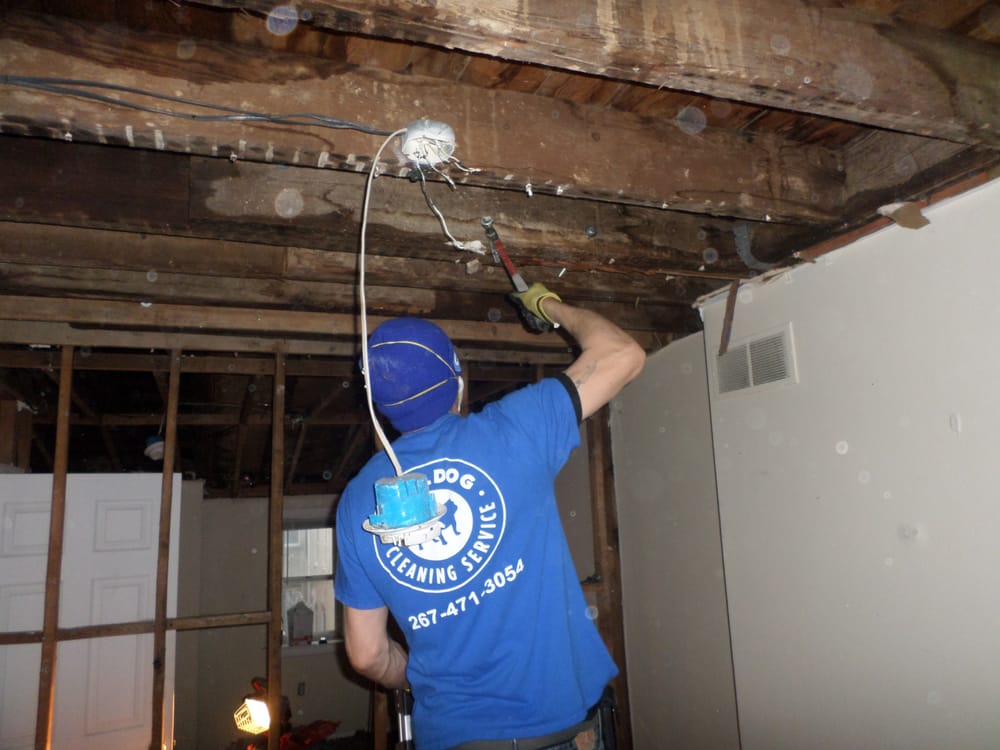 Photo of Bulldog Cleaning & Restoration