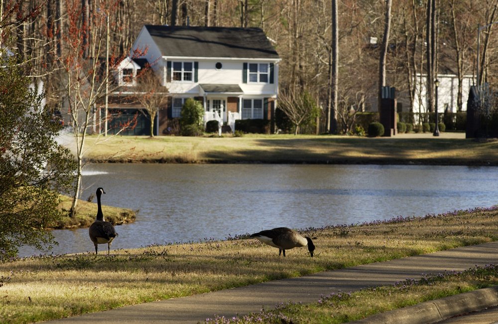 Photo of Rose & Womble Realty